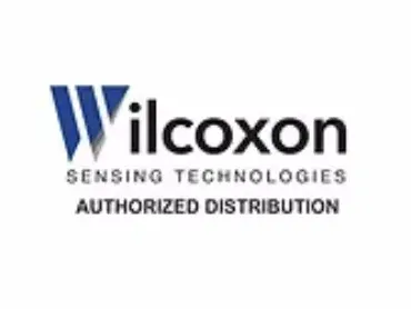 Wilcoxon Sensing Technologies